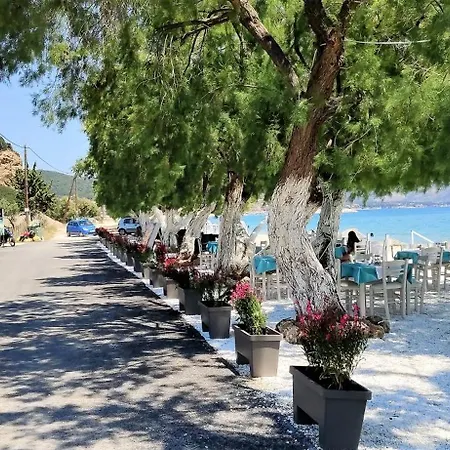 ホテル Thassos Grand 4*